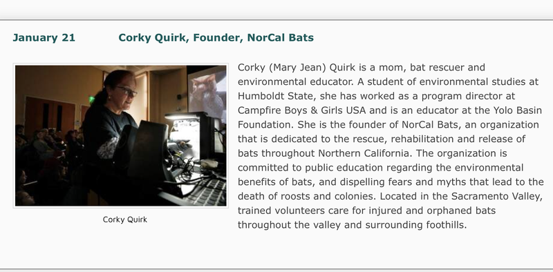 Photo and description of Corky Quirk, Founder of NorCal Bats